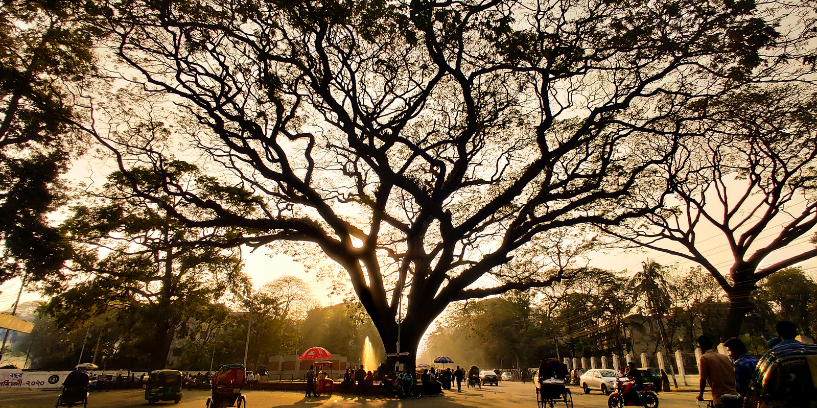 VC Chattar DU Campus